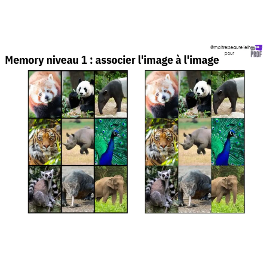 Image de l'activité 1