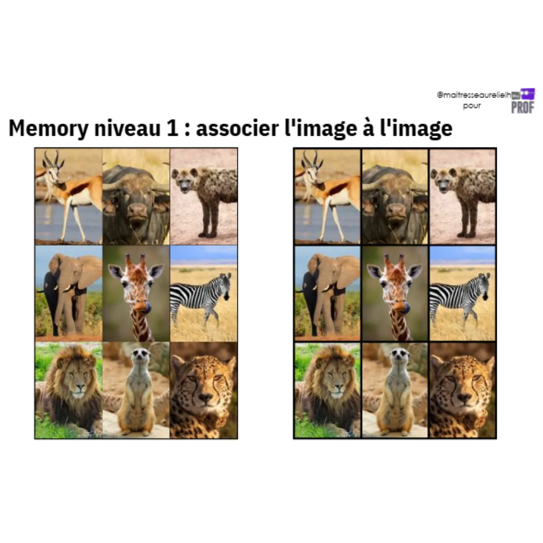 Image de l'activité 1