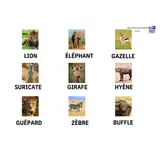 Image de l'activité 3