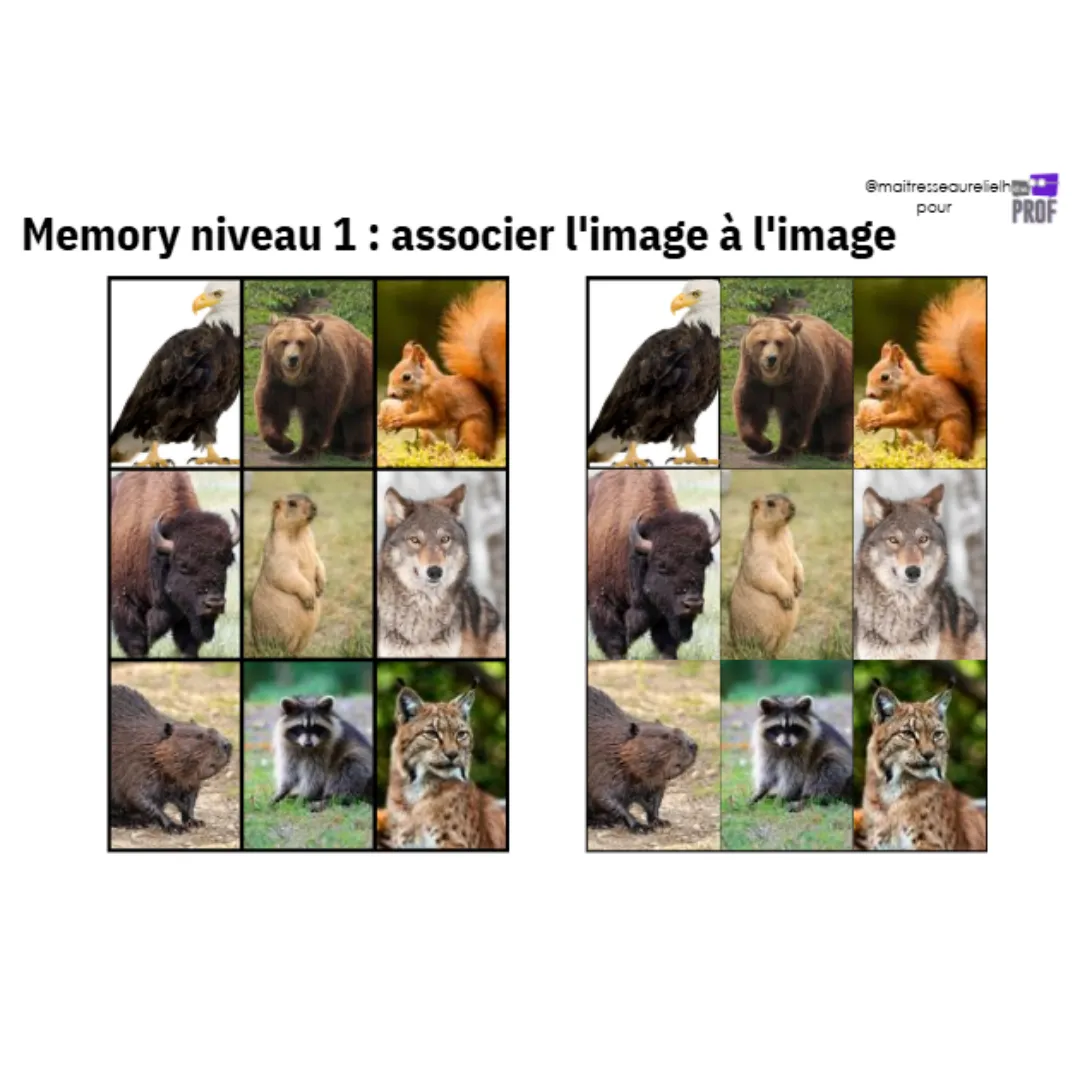 Image de l'activité 1