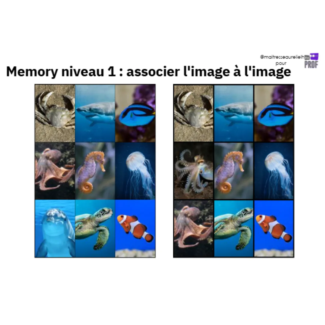 Image de l'activité 1