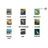 Image de l'activité 3