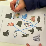 Image de l'activité 2
