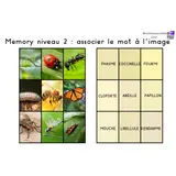 Image de l'activité 2