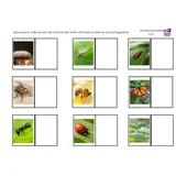 Image de l'activité 3