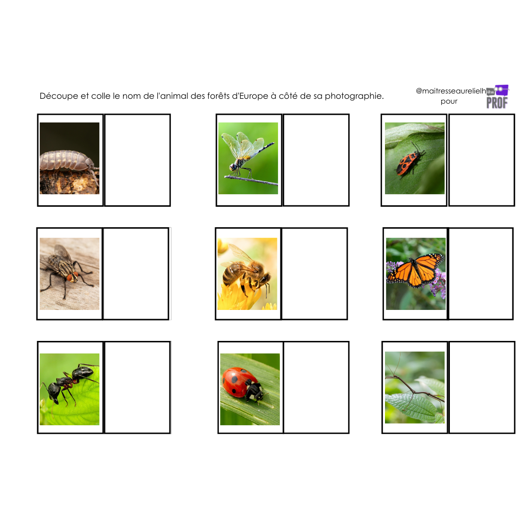 Image de l'activité 3