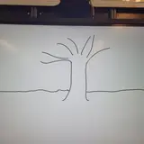 Image de l'activité 2