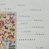 Image de l'activité 2