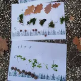 Image de l'activité 2