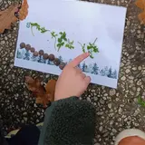 Image de l'activité 3