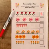 Image de l'activité 1