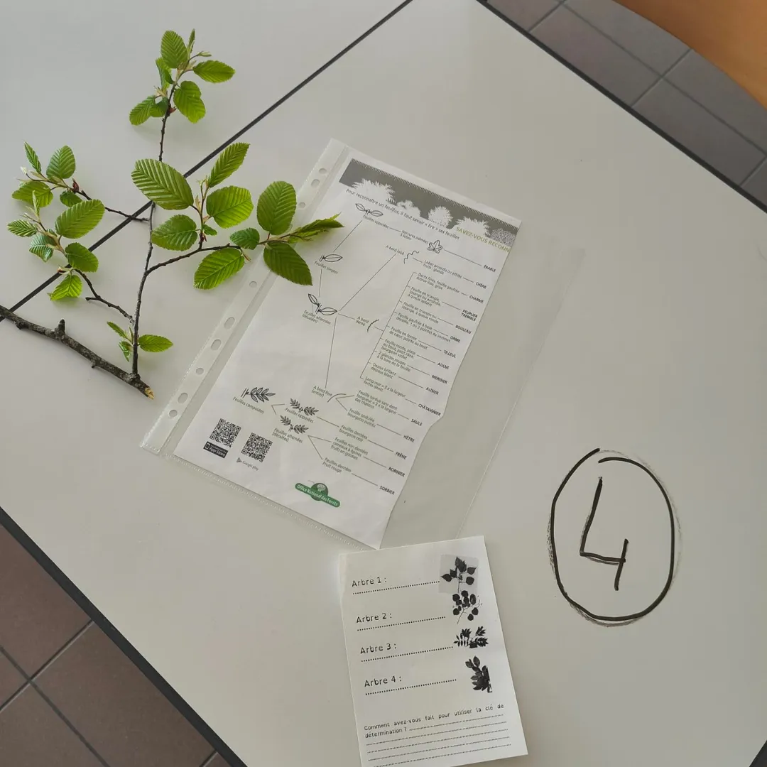 Image de l'activité 1