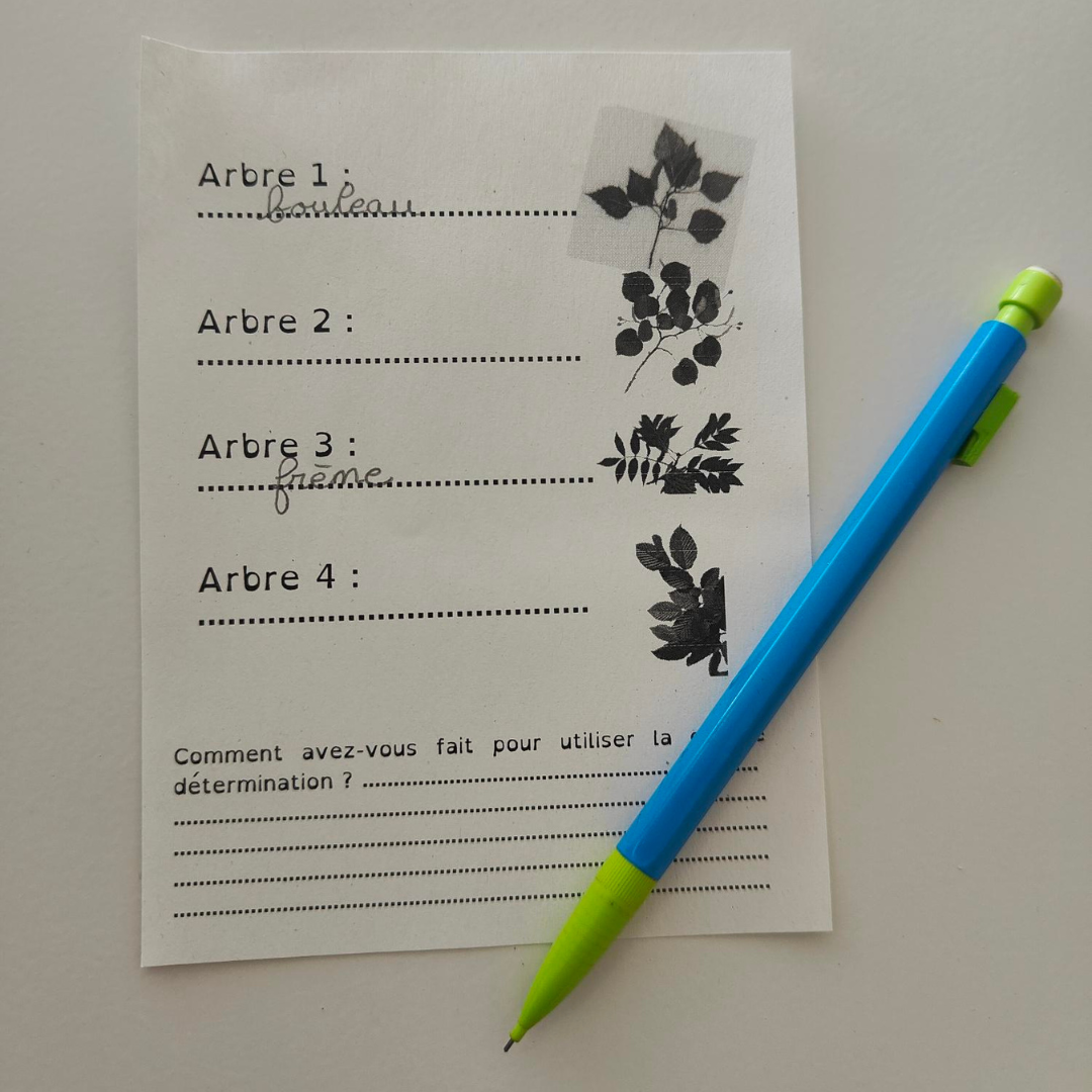 Image de l'activité 2