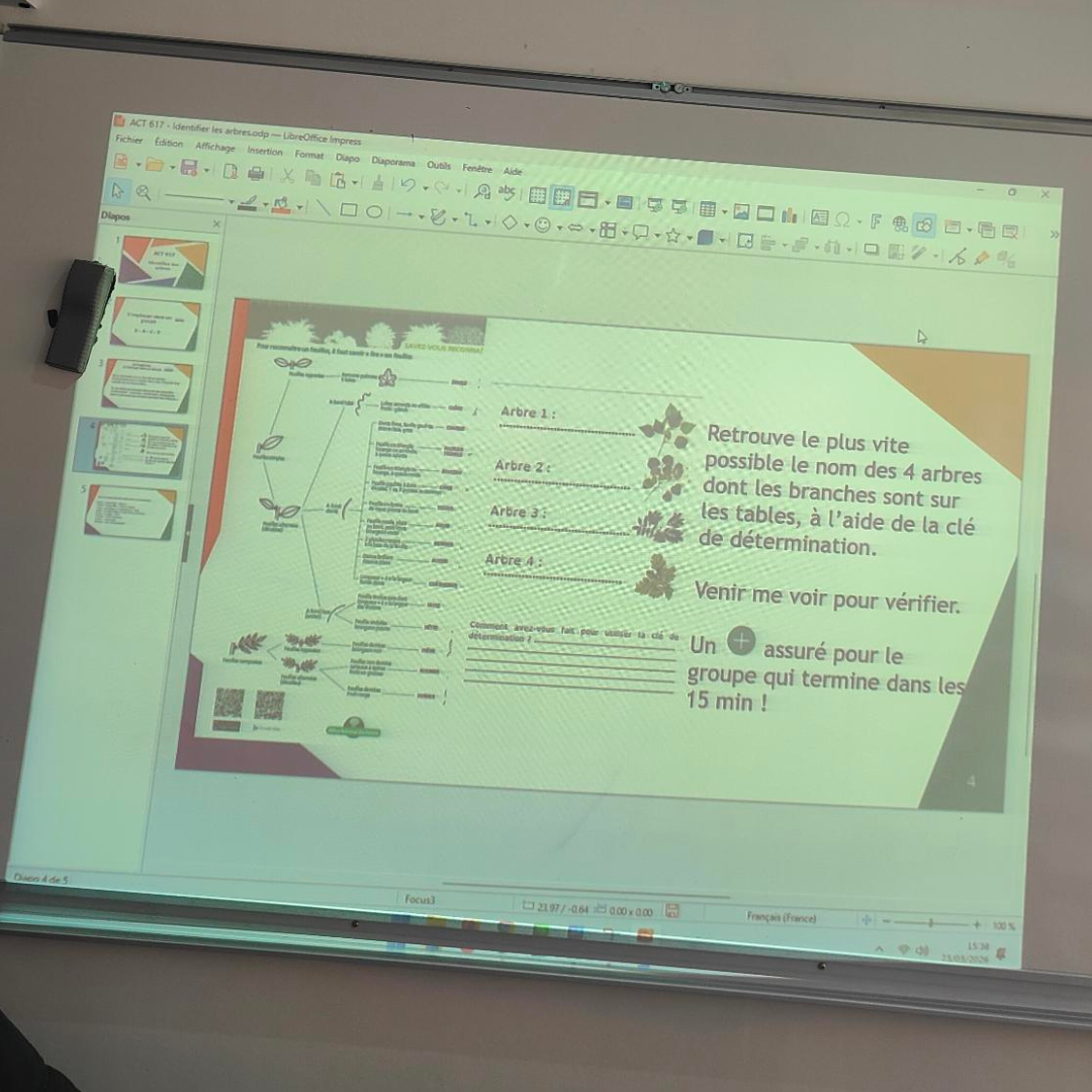 Image de l'activité 3