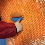 Image de l'activité 2