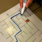 Image de l'activité 1