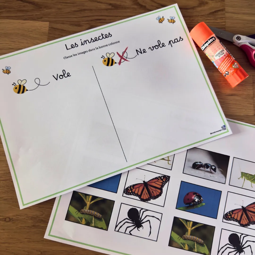 Image de l'activité 1