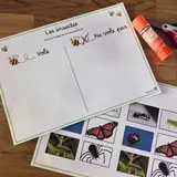 Image de l'activité 1