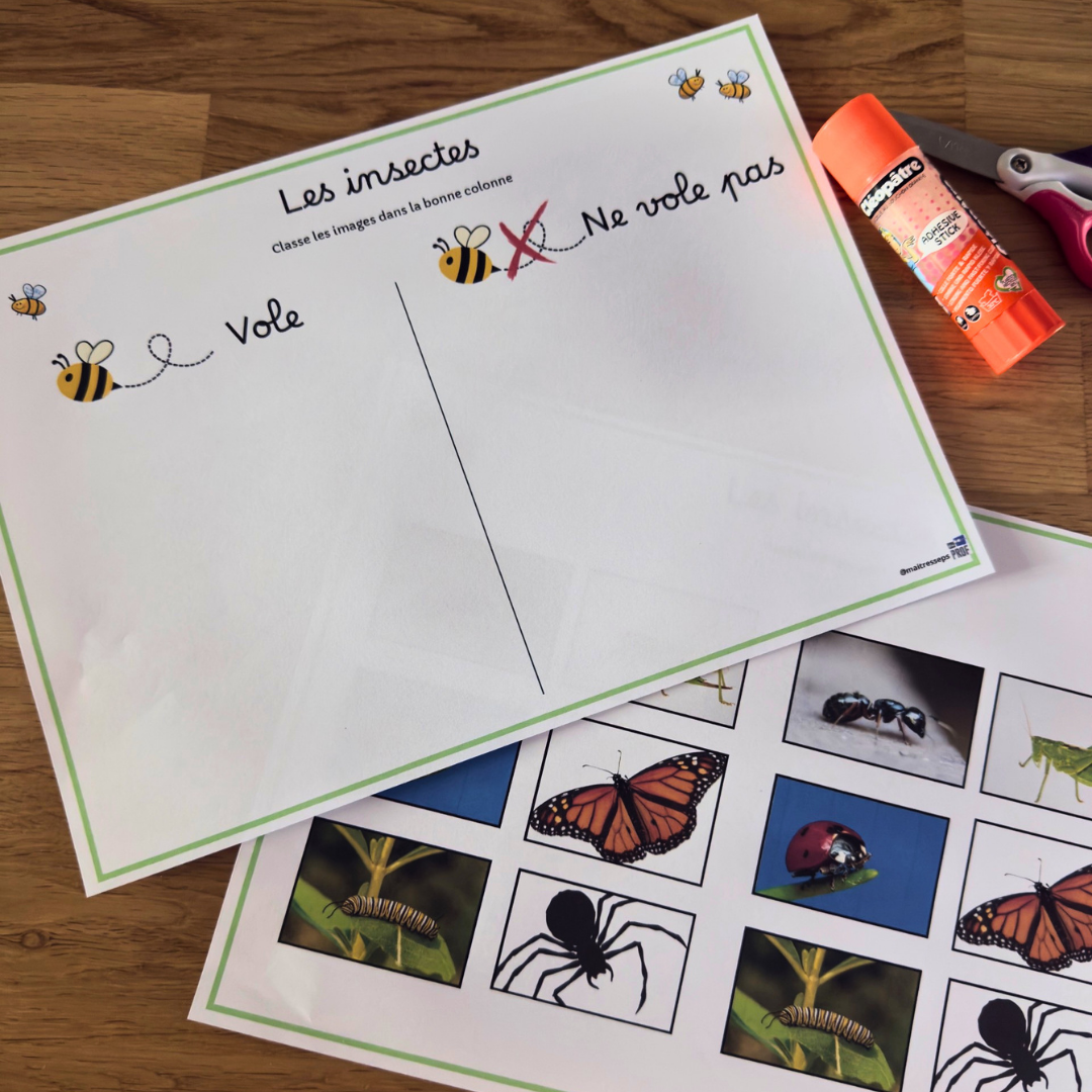 Image de l'activité 1