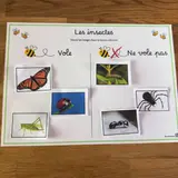 Image de l'activité 3