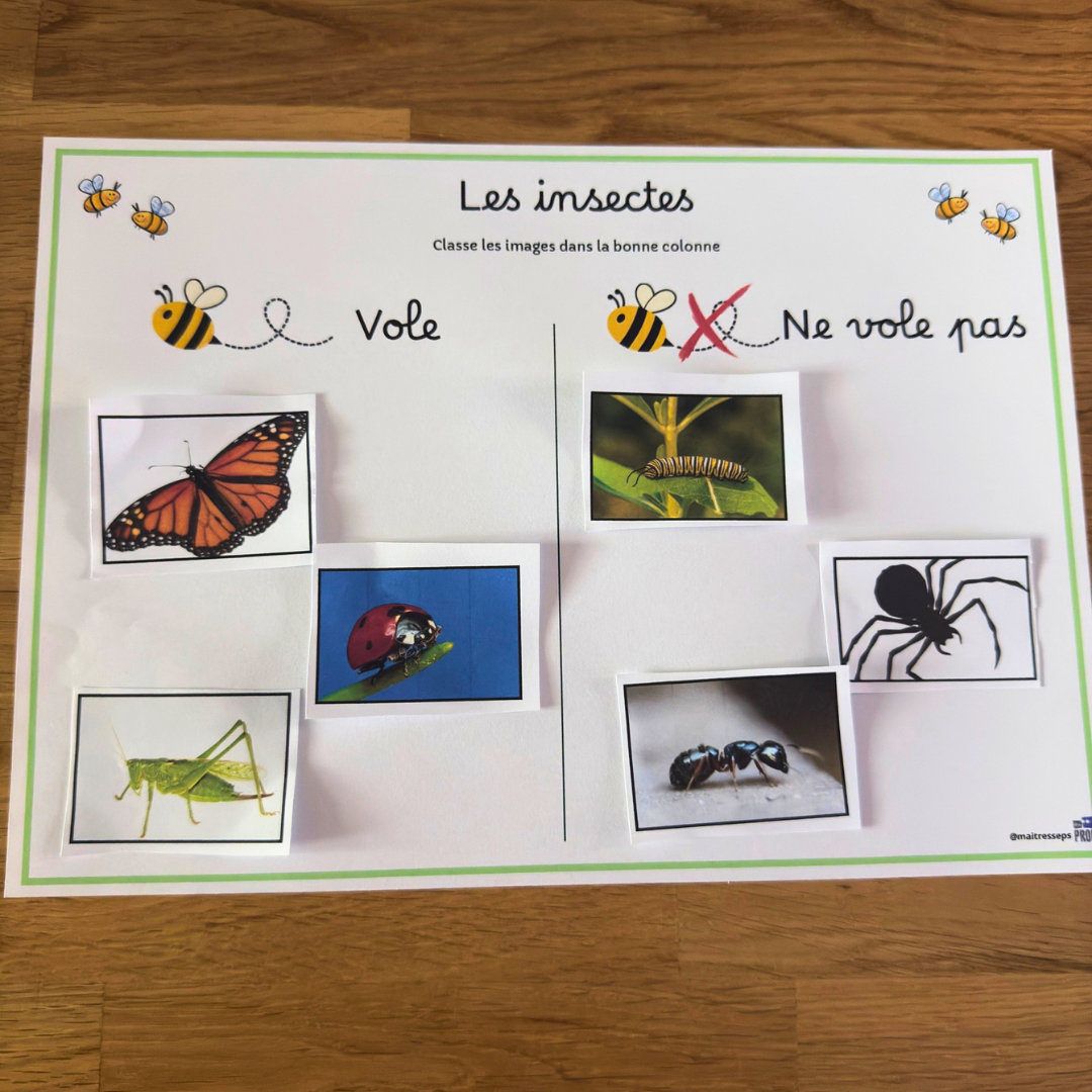 Image de l'activité 3