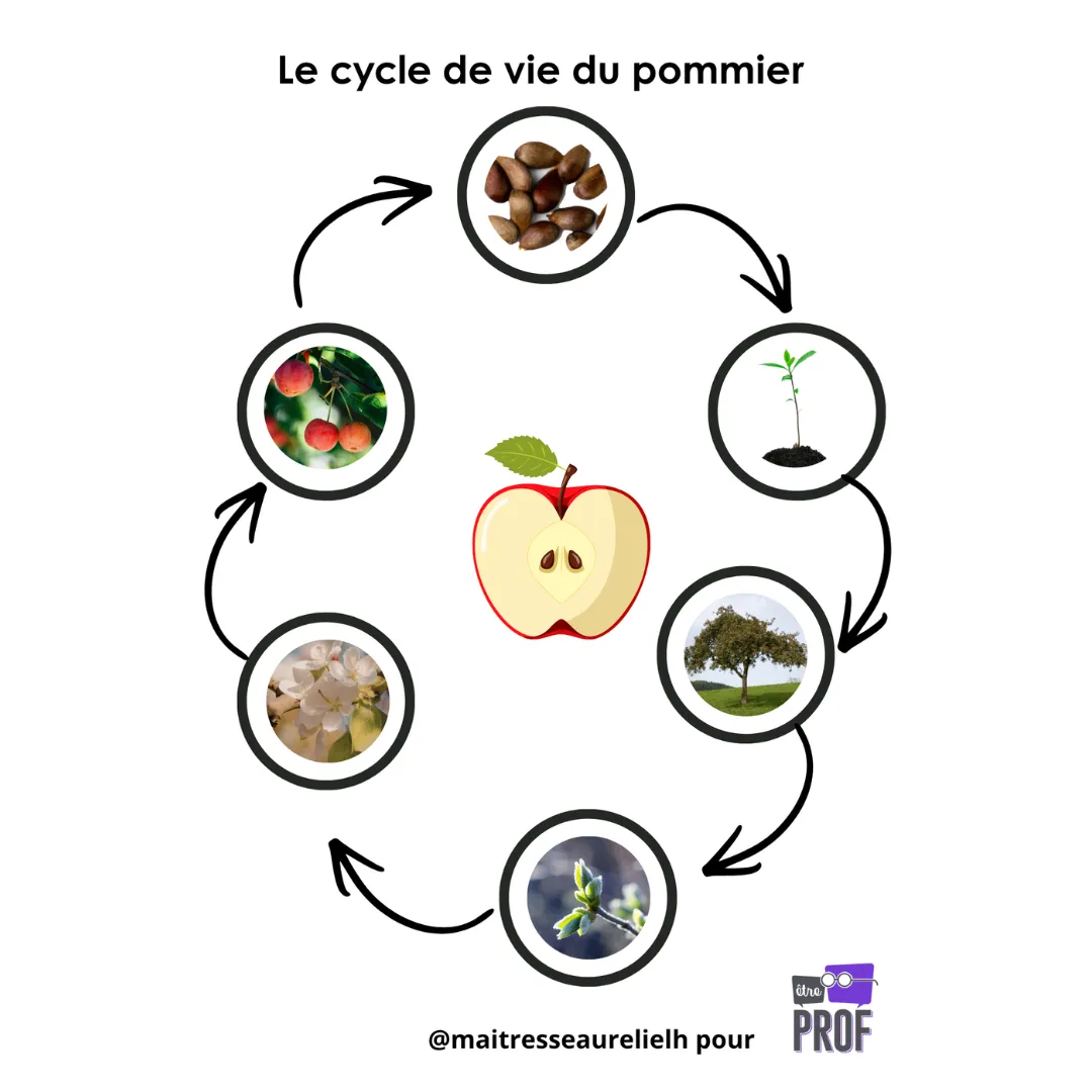 Image de l'activité 1