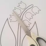 Image de l'activité 2