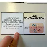 Image de l'activité 3