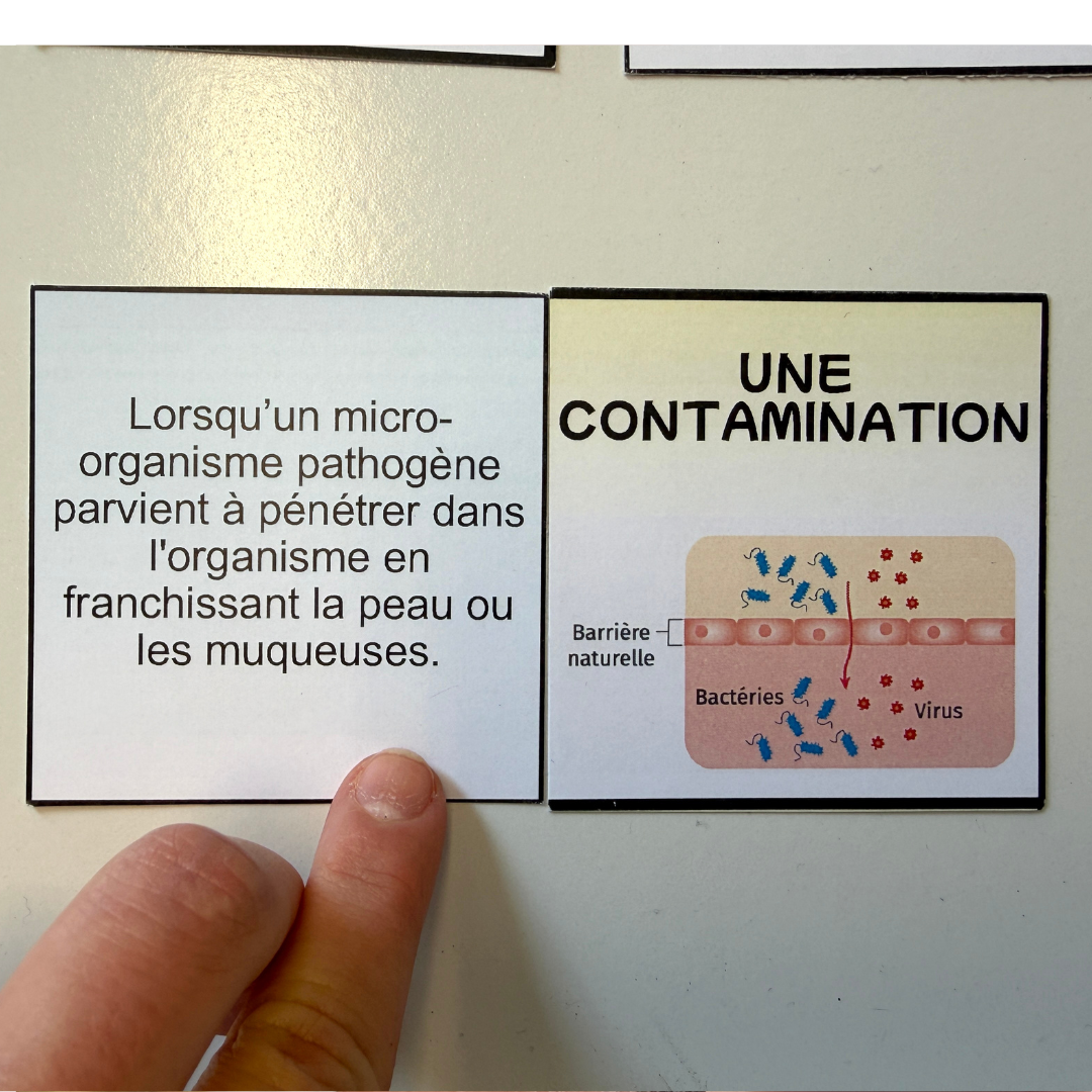 Image de l'activité 3