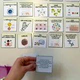 Image de l'activité 4