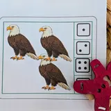 Image de l'activité 2