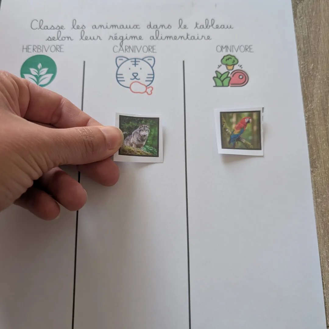 Image de l'activité 1