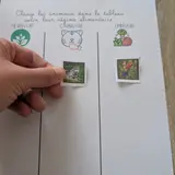 Image de l'activité 1