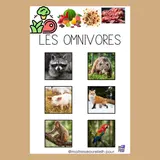 Image de l'activité 3