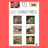 Image de l'activité 4