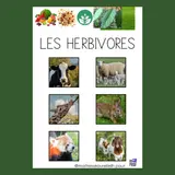 Image de l'activité 5