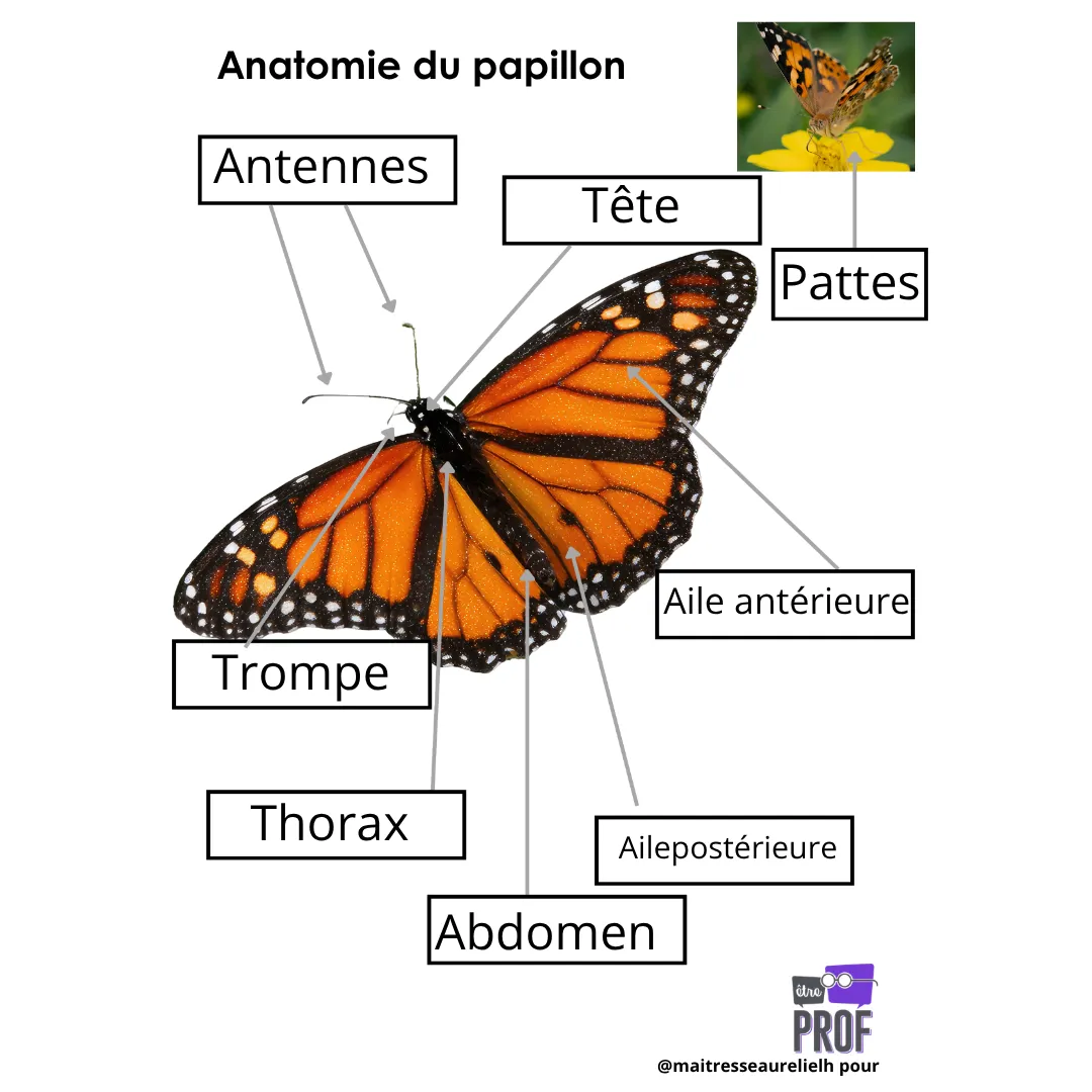Image de l'activité 1