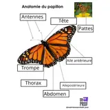 Image de l'activité 1