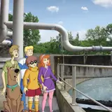 Image de l'activité 4