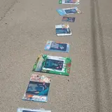 Image de l'activité 5