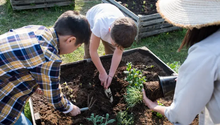 Pourquoi il faut inscrire sa classe à la Coupe de France du potager