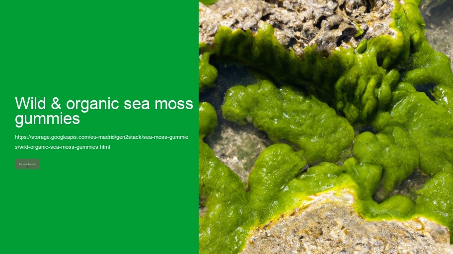 wild & organic sea moss gummies