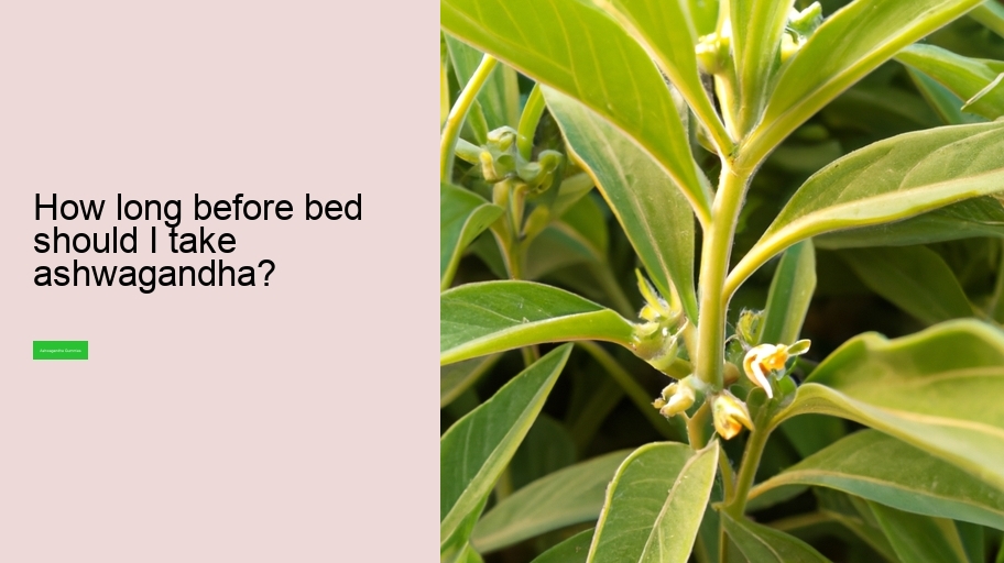 How long before bed should I take ashwagandha?