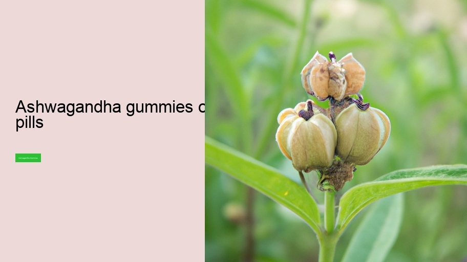 ashwagandha gummies or pills