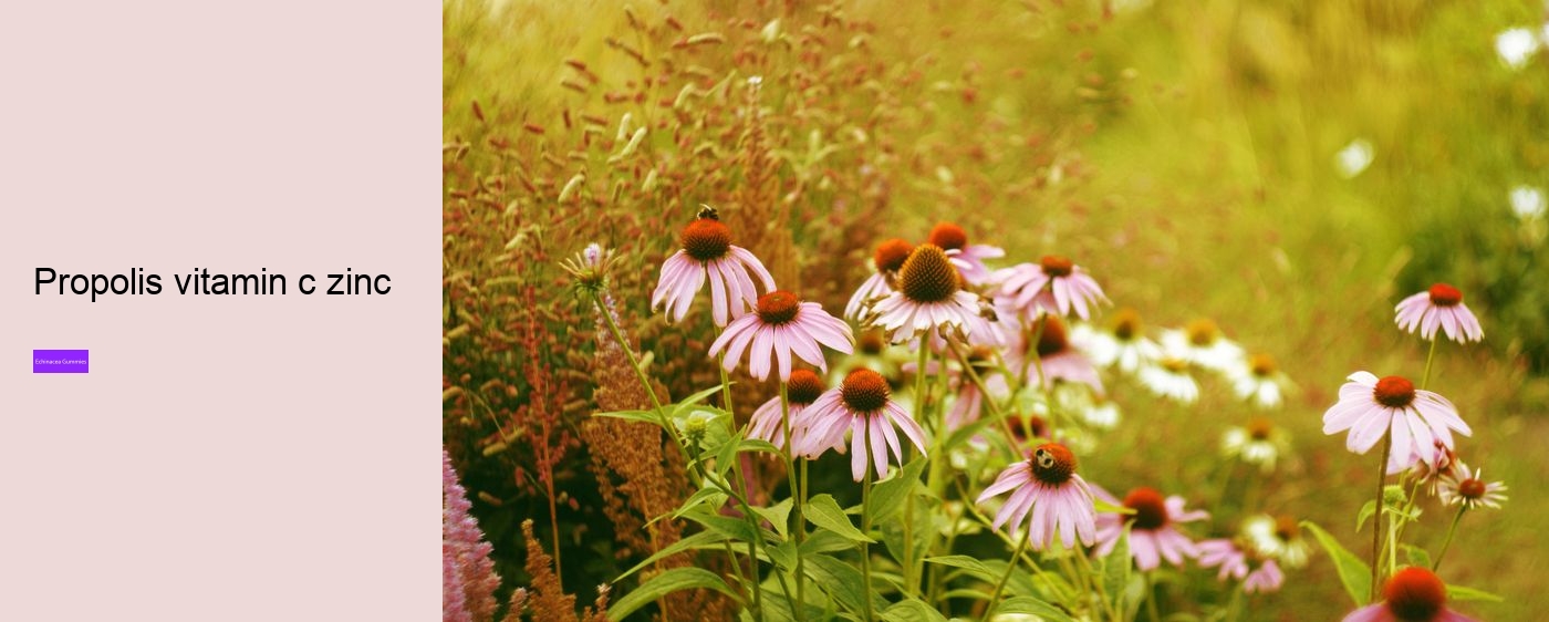 elderberry echinacea gummies