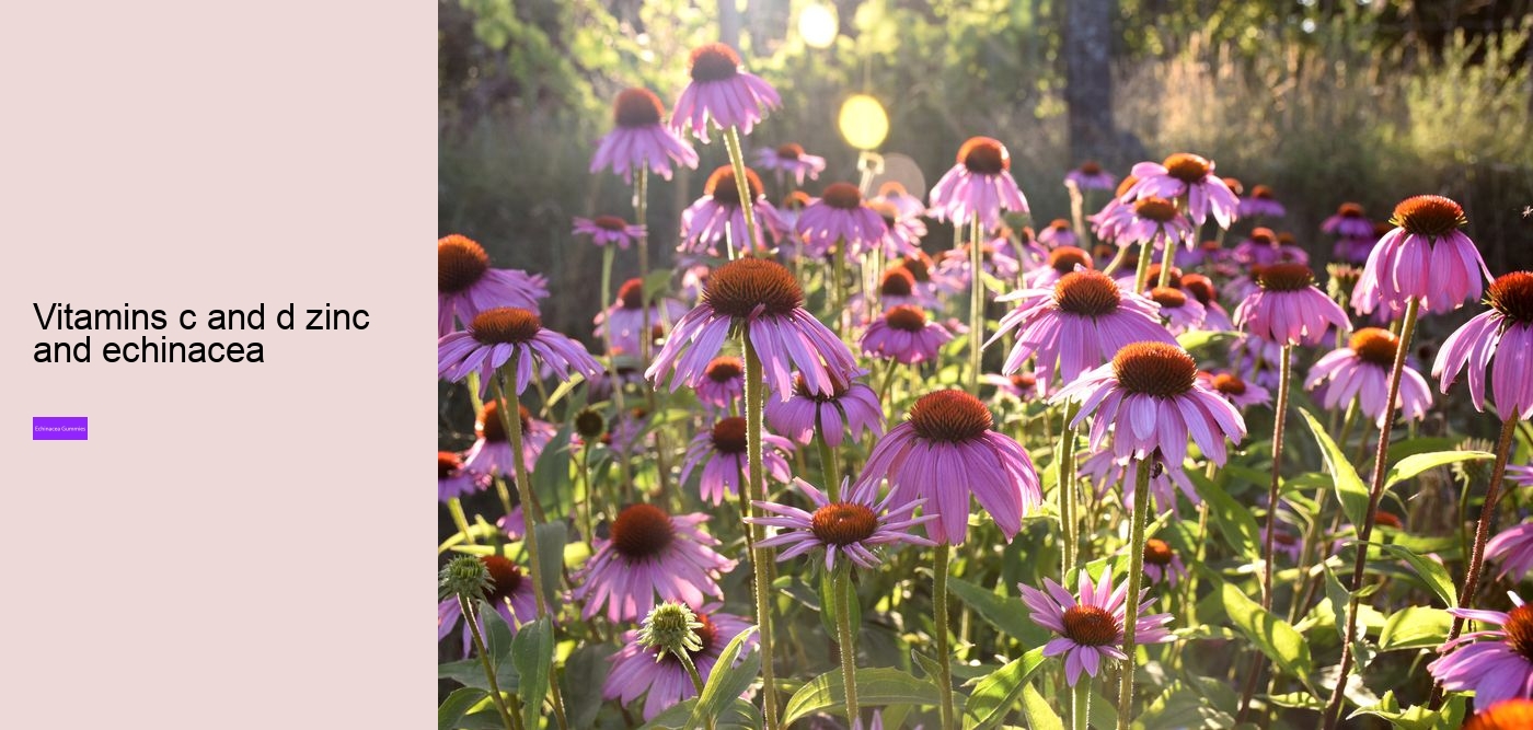 Is echinacea an antibiotic?