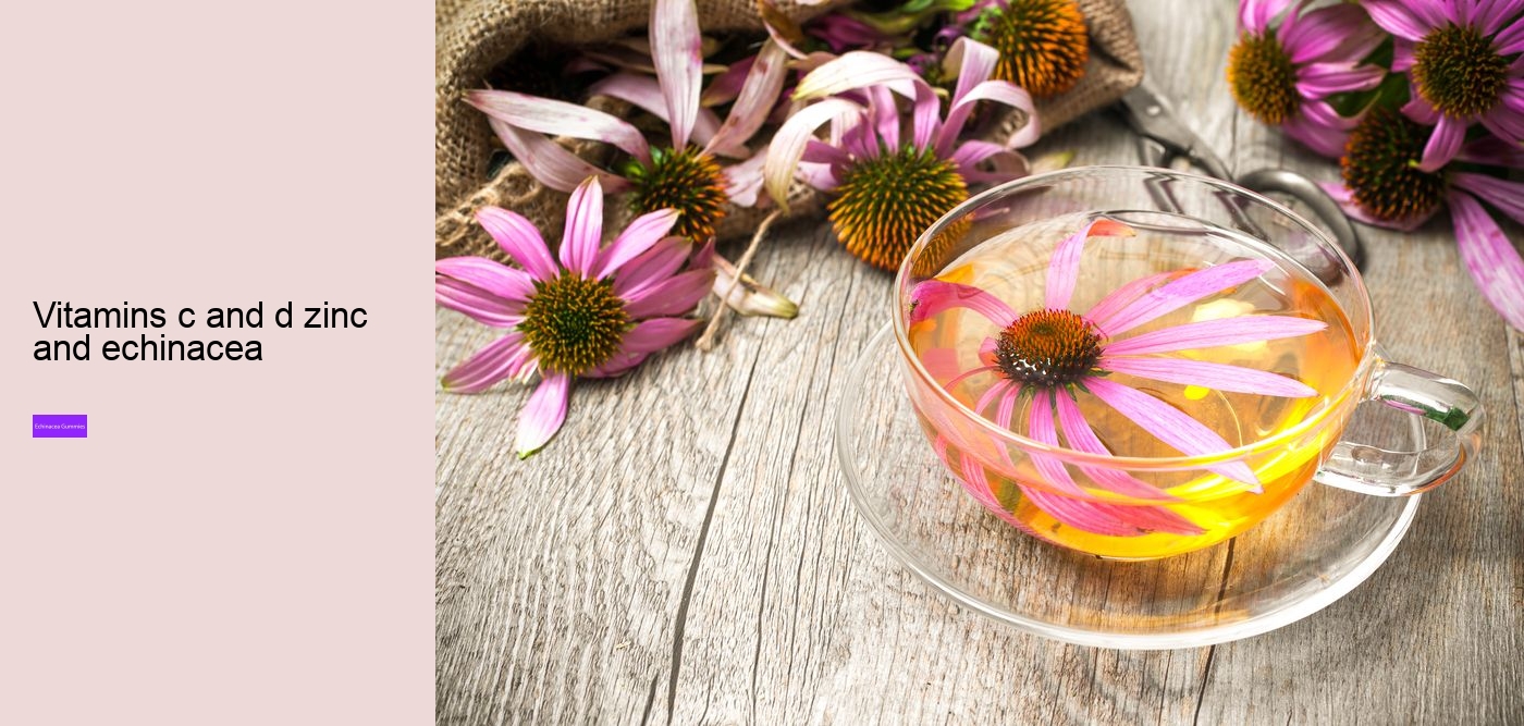 What does echinacea do for hormones?