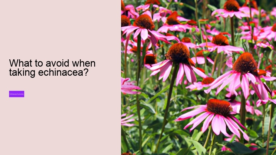 What to avoid when taking echinacea?