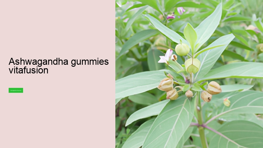 ashwagandha gummies vitafusion