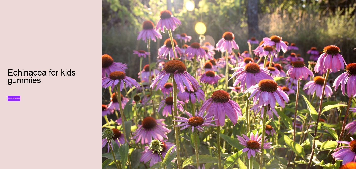 echinacea in gummy form